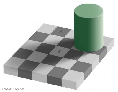 Immagine Allegata: checkershadow_illusion4full.jpg
